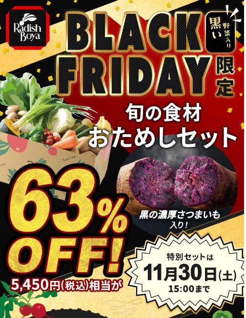 【2024年激安】らでぃっしゅぼーやのブラックフライデーでお試しが63%OFF！