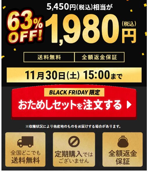 【2024年激安】らでぃっしゅぼーやのブラックフライデーでお試しが63%OFF！