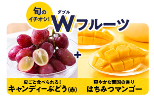 【2025年激安】Oisixの大感謝祭セールでお試しセットが78%OFF！