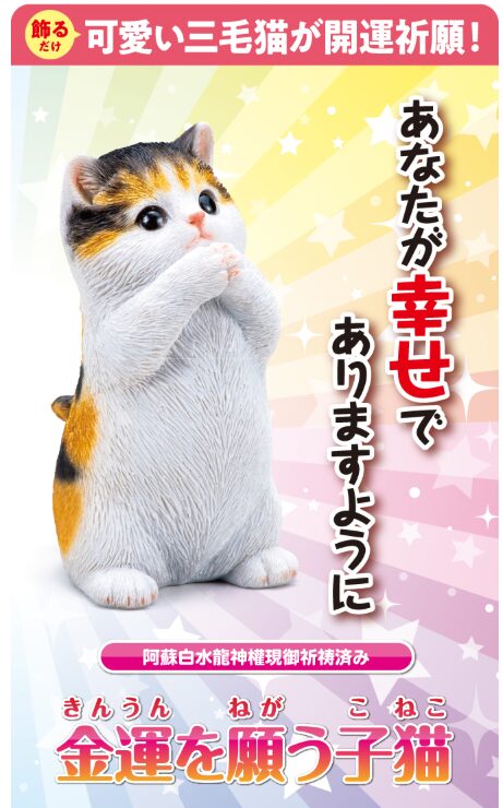 金運を願う子猫(茶トラ)を会社の先輩が1ヶ月置いてみた正直な感想とレビュー!