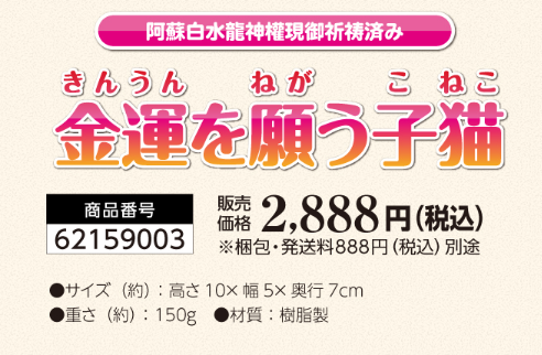 金運を願う子猫(茶トラ)を会社の先輩が1ヶ月置いてみた正直な感想とレビュー!