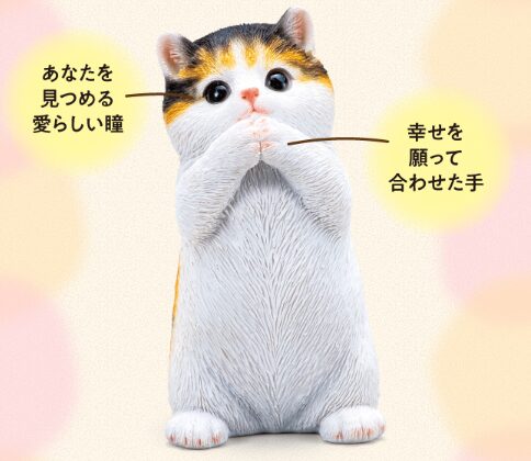 金運を願う子猫(茶トラ)を会社の先輩が1ヶ月置いてみた正直な感想とレビュー!