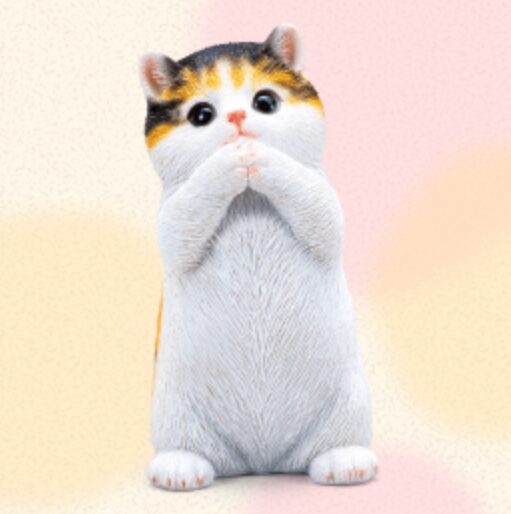 金運を願う子猫(茶トラ)を会社の先輩が1ヶ月置いてみた正直な感想とレビュー!